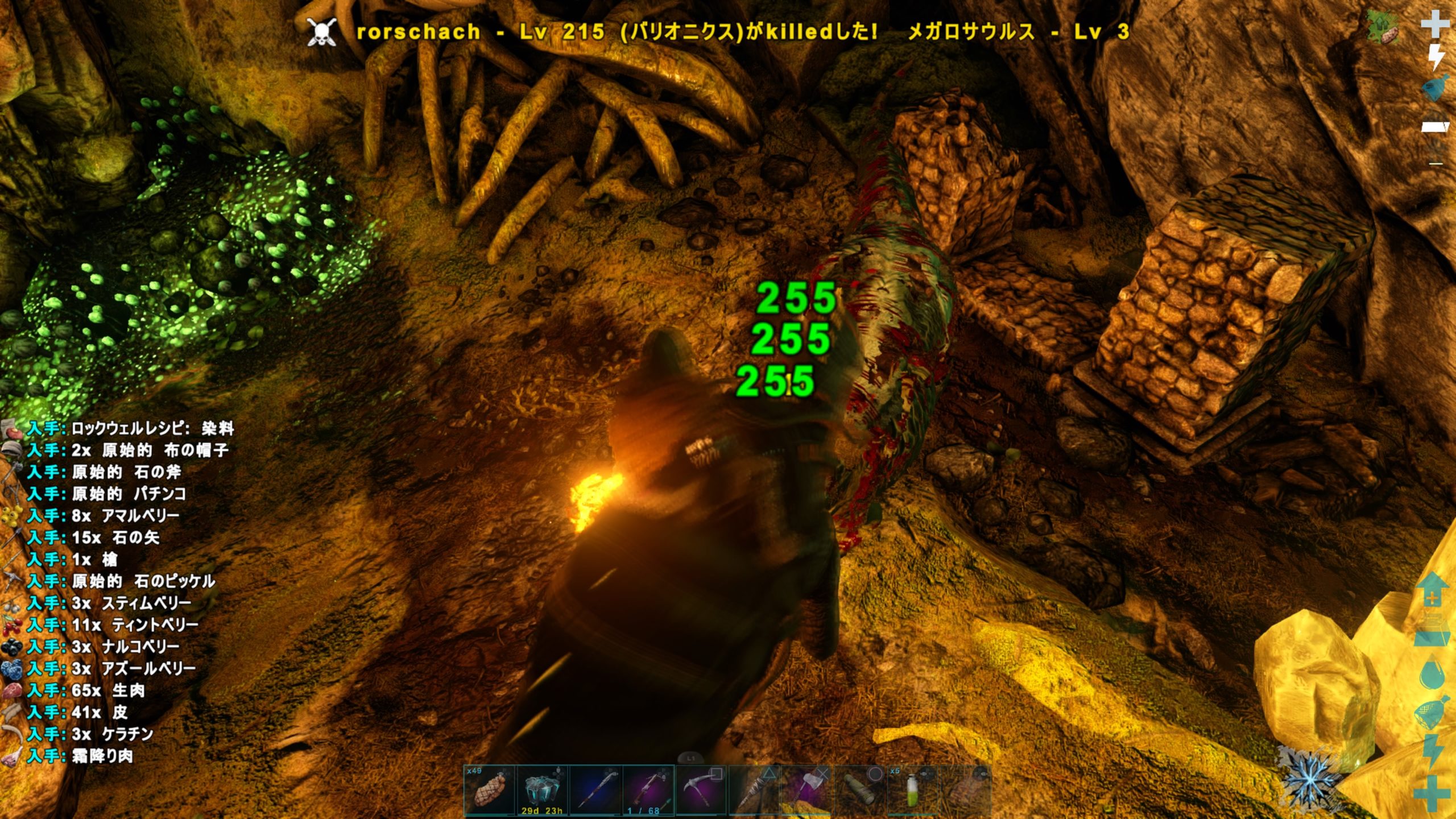 Ark Ps4 分岐点が多く迷子に注意 群衆の洞窟を攻略 Hrk無意識ゲーム録